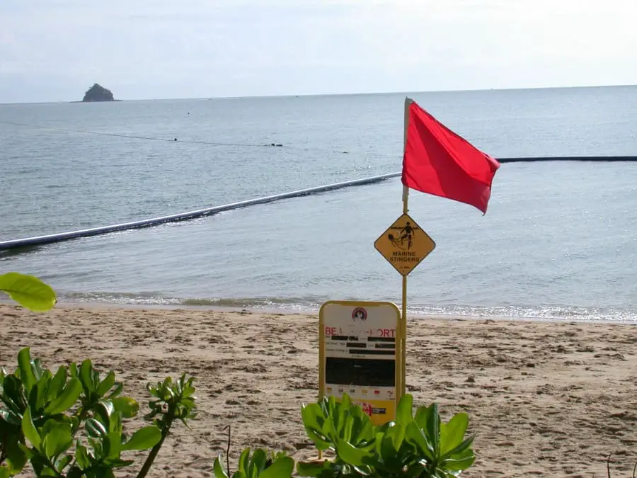 Photo of beach with sign indicating beach closed due to marine stingers.