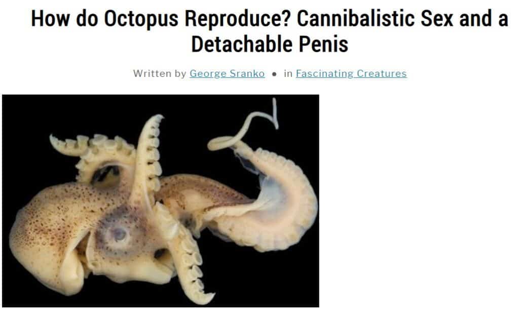 Screenshot of Biogeoplanet.com Octopus article header