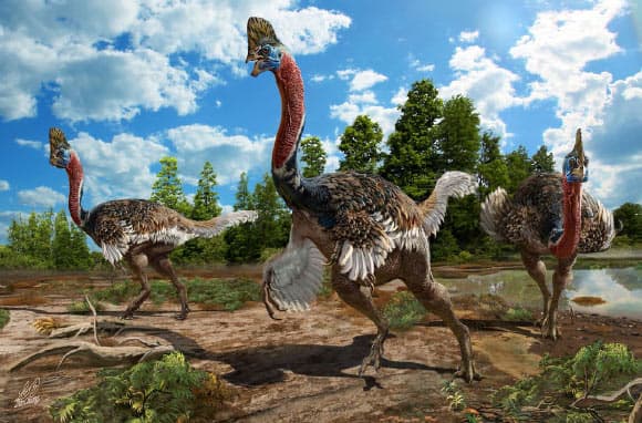 Artist rendition of Corythoraptor jacobsi. Discovered in China, this bird-like dinosaur had a toothless beak and a distinct cassowary-like crest atop its head. Image credit: Zhao Chuang.