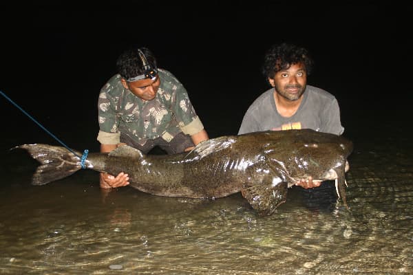 Photo of two men holding a large goonchfish.