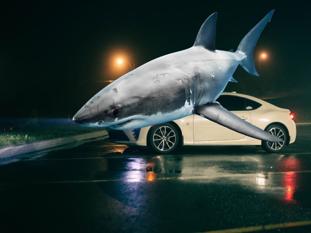 Photo of great white shark superimposed over small car