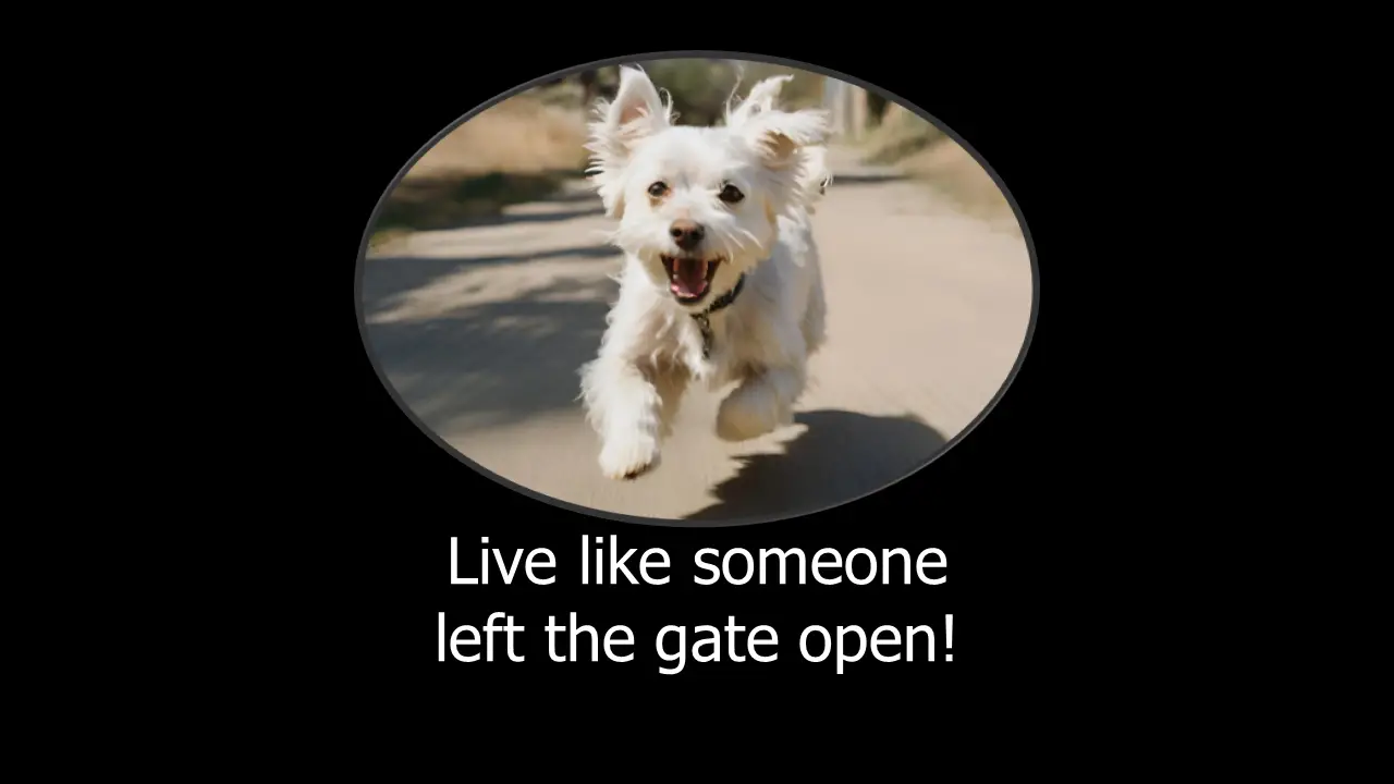 A joyful white dog running framed within an oval shape, accompanied by an inspirational quote from the Viking World Cruise 2024.